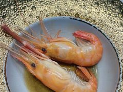 -樱之盛宴·蟹料理海鲜自助(前进大街店)