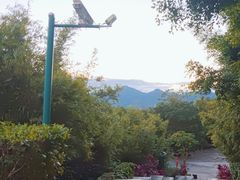 -七仙岭温泉国家森林公园