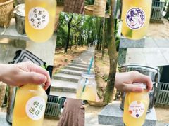-火炉山森林公园