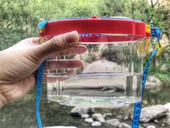 -碓臼峪自然风景区