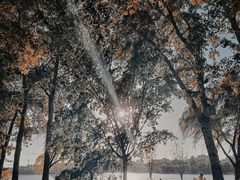 -北海公园
