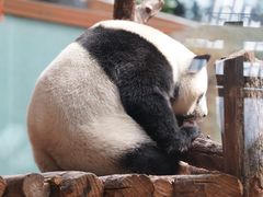 -青藏高原野生动物园