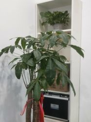 -SOR索尔祛痘·面部肌肤科学管理