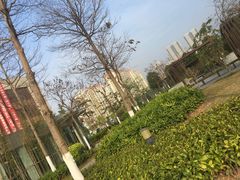 -南方医科大学深圳医院