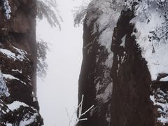 -王顺山国家森林公园