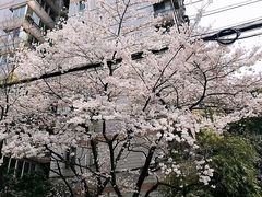 -OT另茶(上海幸福里店)