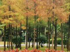 -晓港公园
