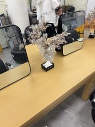 点击看大图 -慕名造型