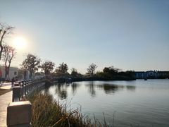 -上海长兴岛郊野公园