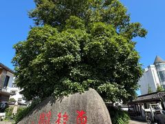 -东梓关景区村庄