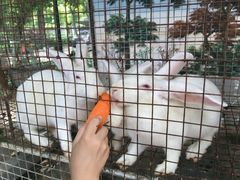 -荆州中山公园动物园