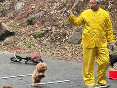 -洛阳花果山景区