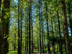 -国家植物园南园