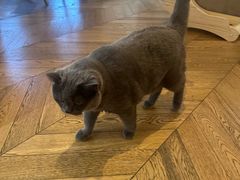 -Me Coffee下午茶艺术空间