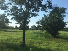 -汉长安城未央宫国家考古遗址公园