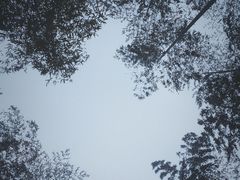 -江南天池高山汤泉城