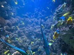 -海合安青岛极地海洋公园