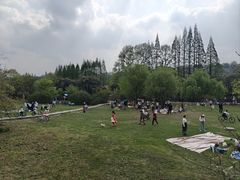-贵阳市花溪国家城市湿地公园