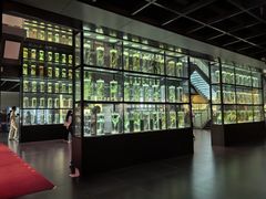 -广东中医药博物馆