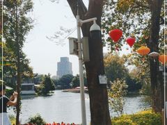 -荔湾湖公园