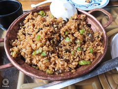 牛肝菌闷饭-醉云喃