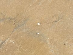 -珠海金沙滩