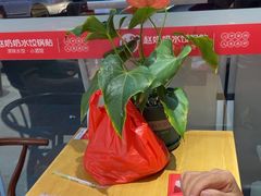 -赵奶奶水饺锅贴小酒馆(丁字沽店)