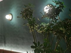 -FUNFUN有饭花园聚会餐厅