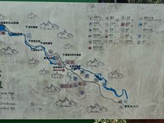 -莫里热带雨林景区