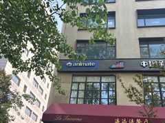 -Animate(工人体育场东路店)