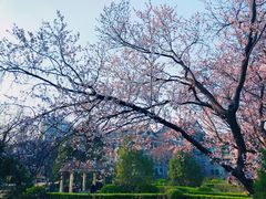 -山东师范大学(千佛山校区)