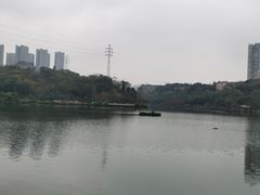 -重庆彩云湖湿地公园
