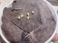 -二荆条·蜀鲜汇城市森林火锅