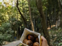 -上海佘山国家森林公园天马山园