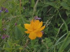 -白草畔自然风景区