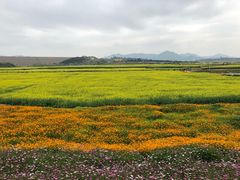 -光明小镇欢乐田园