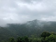 -黄贤森林公园