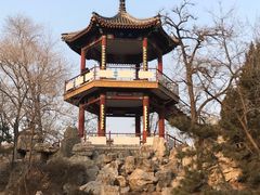 -莲花池公园