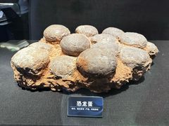 -永茂驴肉(莲池南大街总店)