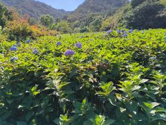 -昆嵛山石门里景区