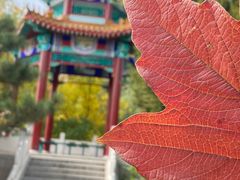 -滨河世纪广场公园