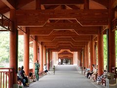 -重庆彩云湖湿地公园