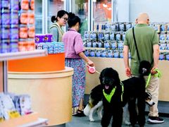 -帕帕拉兹宠物(亚洲旗舰店)