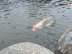 -广东温泉宾馆