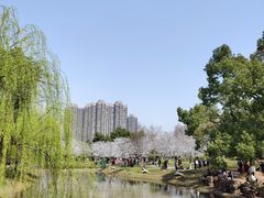 -堤角公园