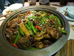 -猫头婴小酒馆FUN OWL(1912店)