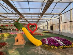 -兴芮温泉度假区