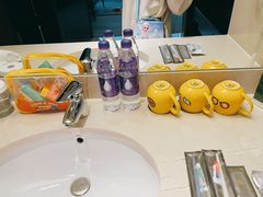 -广州白云机场雅高铂尔曼大酒店