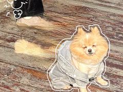 -Manner Coffee(徐汇滨江店)