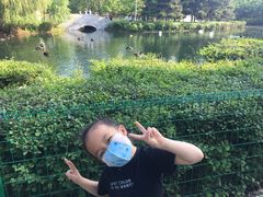 -长白岛森林公园